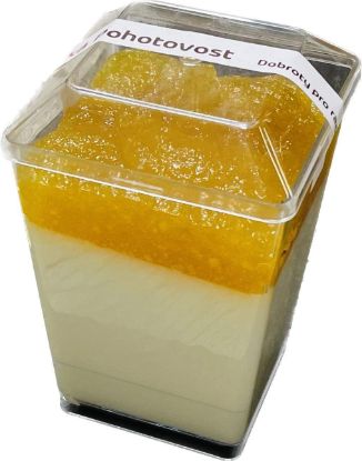 Panna Cotta s pomerančem